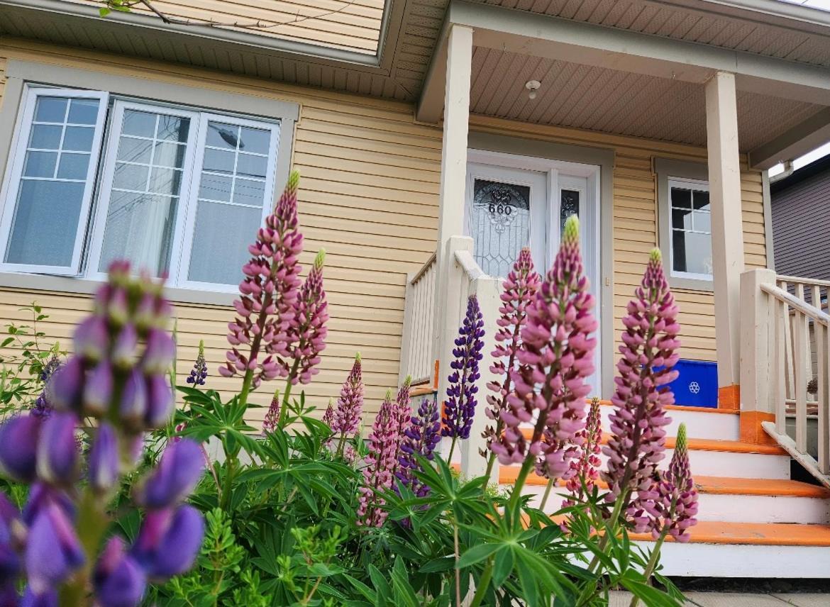 Maison Chaleureuse, Energetique Et Florale Шербрук Екстериор снимка